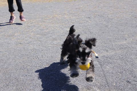 20220306122419_IMG_9721