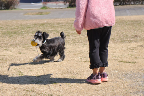 20220306122132_IMG_9709