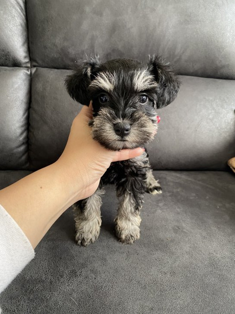 767C6B3C-7268-44DA-A3D7-D4F86D8E701F