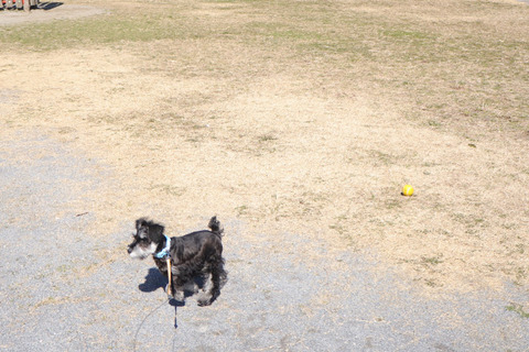 20220306122330_IMG_9715