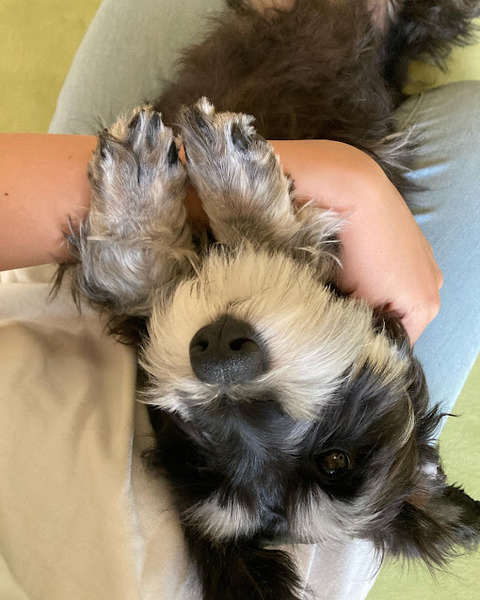 064CF5DE-4C05-47B1-9180-6514AD0738DC