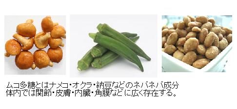 ムコ多糖症 10月に新薬承認へ 舛添厚生労働相 サイエンスジャーナル