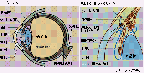 治る 緑内障 緑内障の治療｜もっと知ろう緑内障｜緑内障の情報サイト