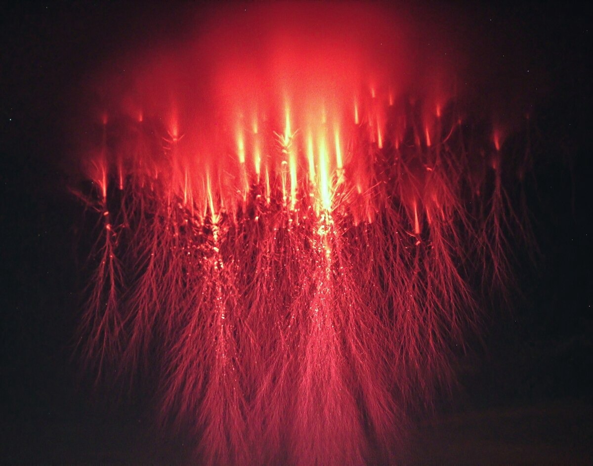 画像 1