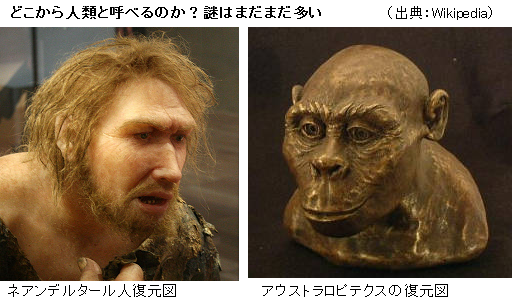 440万年前 最古の人類の復元に成功 ラミダス猿人 とは何 サイエンスジャーナル