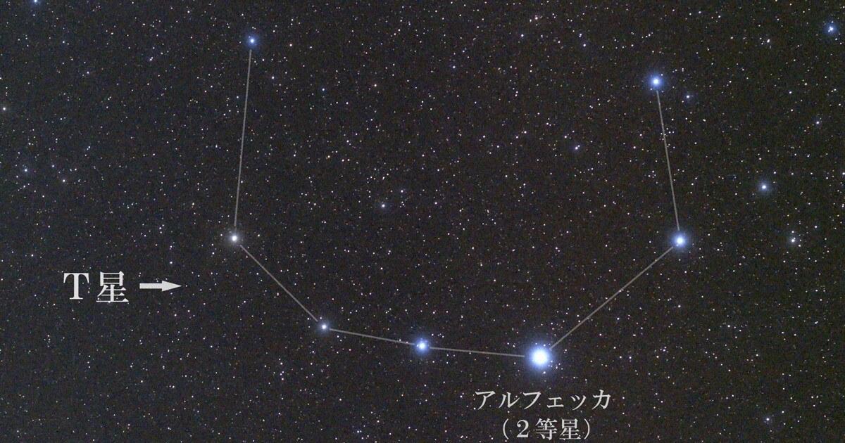 画像 1
