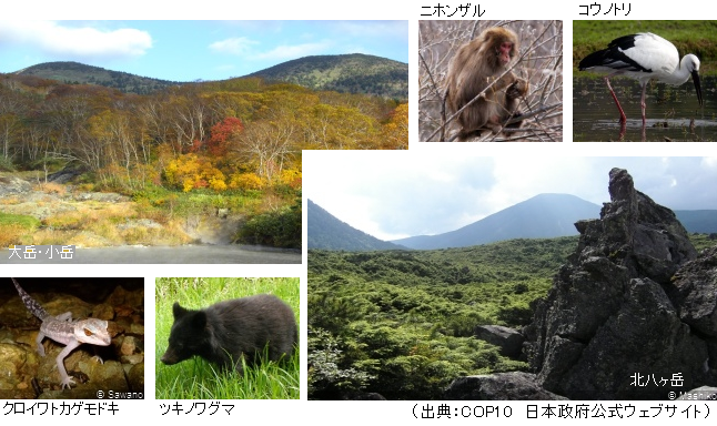 COP10(1)
