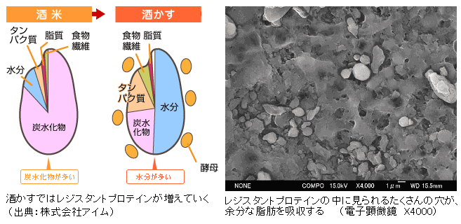 ResistantProtein