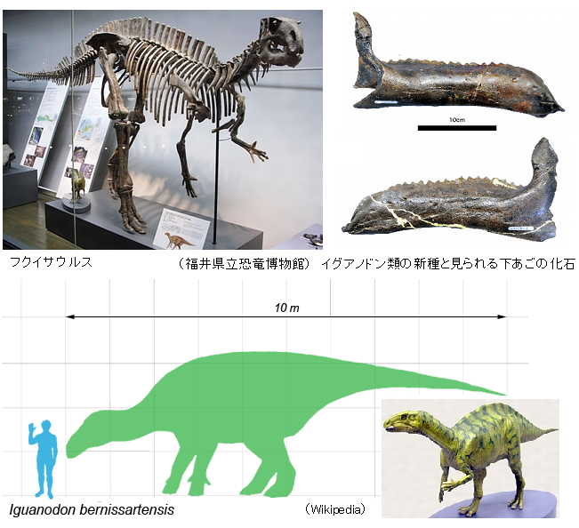 Fukuisaurus