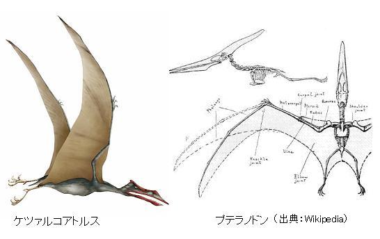 名古屋市科学館 世界最大の翼竜展 に行こう 6月15日まで開催 サイエンスジャーナル 名古屋市科学館 世界最大の翼竜展 に行こう 6月15日まで開催 サイエンスジャーナル