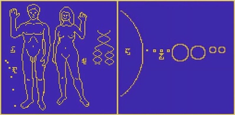 画像 1