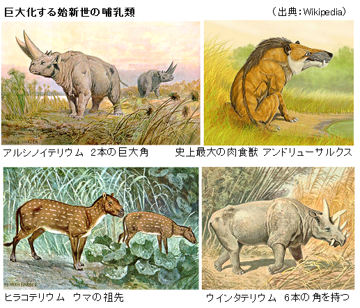 ナイティア化石 (新生代第三紀始新世)