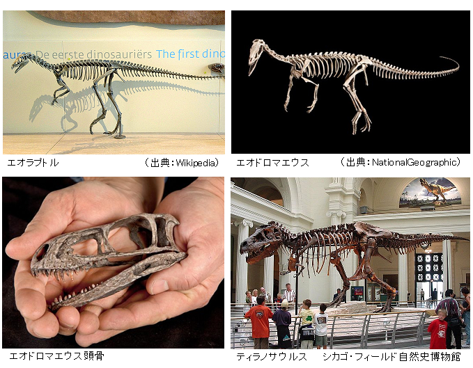 中生代三畳紀 ティラノサウルスの祖先 エオドロマエウス の化石発見 サイエンスジャーナル