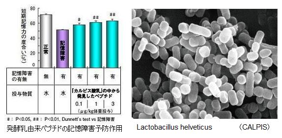 Lactobacillus helveticus