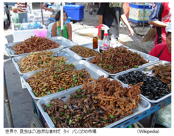 エビ カニ好きな日本人 なぜ虫を食べない 国連が昆虫食を推奨 サイエンスジャーナル エビ カニ好きな日本人 なぜ虫を食べない 国連が昆虫食を推奨 サイエンスジャーナル