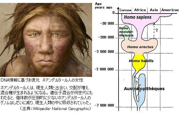 人 サピエンス ネアンデルタール ホモ ホモ・サピエンスがほかの人類を殺したのか？『絶滅の人類史』著者が語る