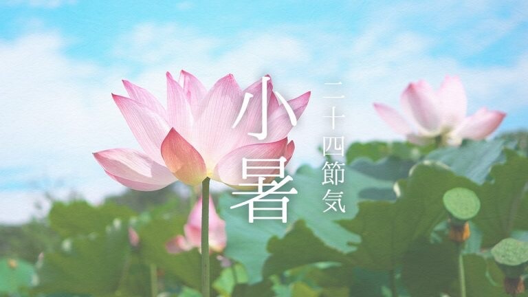 画像 1
