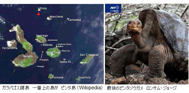 ガラパゴスゾウガメ ロンサム ジョージ 死す 推定100歳 ゾウガメ亜種絶滅 サイエンスジャーナル