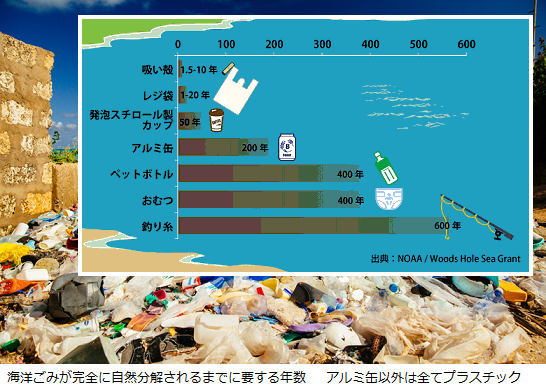 プラスチック 問題 海洋