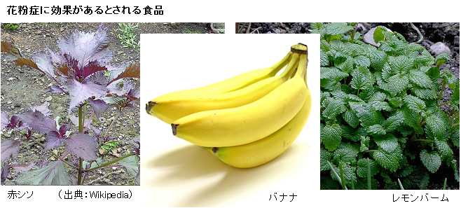 Red_Shiso_Banana_lemonBarm