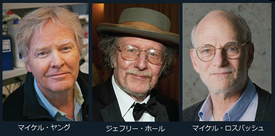 17年ノーベル医学 生理学賞 ヤング ホール ロバッシュ 体内時計 概日リズム を制御する分子メカニズムの発見 サイエンスジャーナル