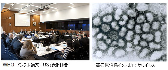 WHO_H5N1