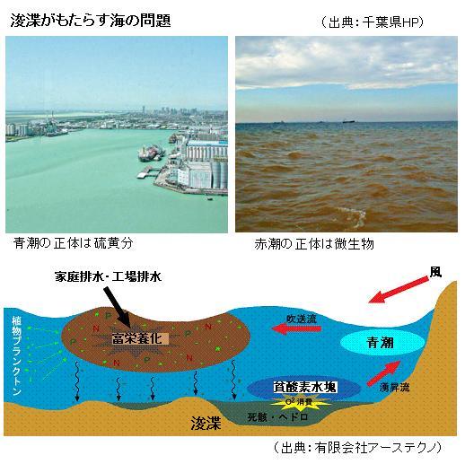 海底に死の領域 デッドゾーン をもたらす 浚渫 とは何か サイエンスジャーナル