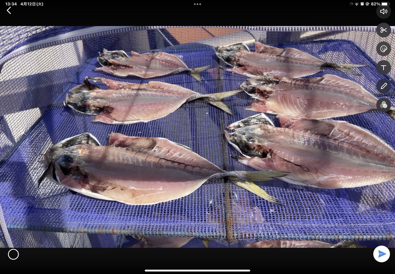 もりとよチャンネル 驚愕映像のため 笑 プロの方は見ないでください ゆたかな日記
