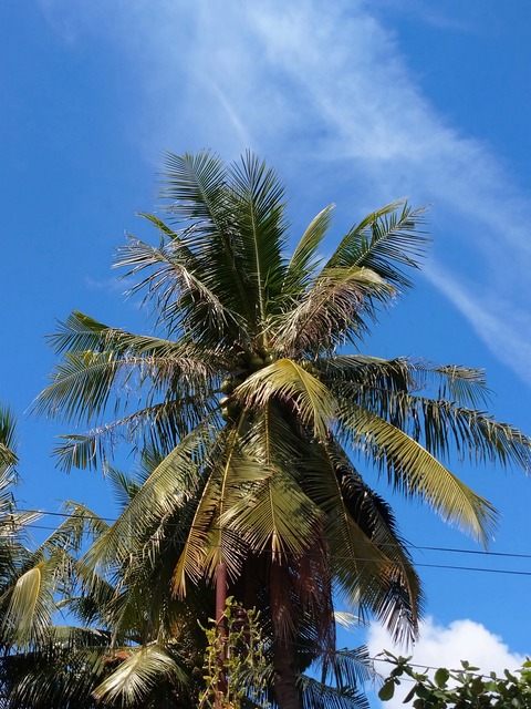20211101sky