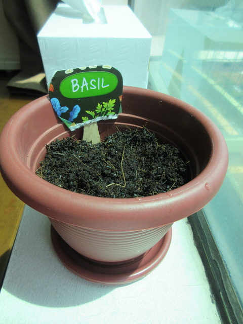 20210929basil2