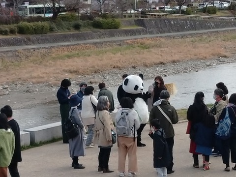 20220321panda