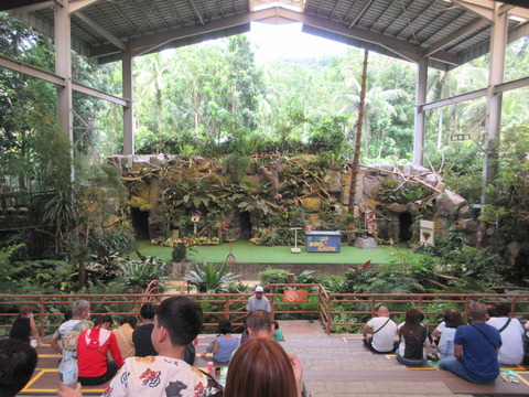 20220608birdshow1