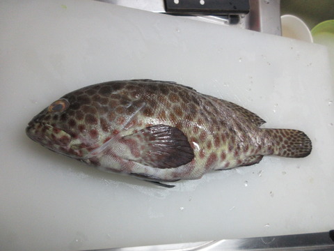 20210926lapulapu1