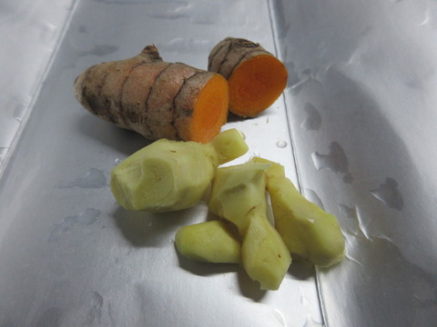 20220222gingerukon