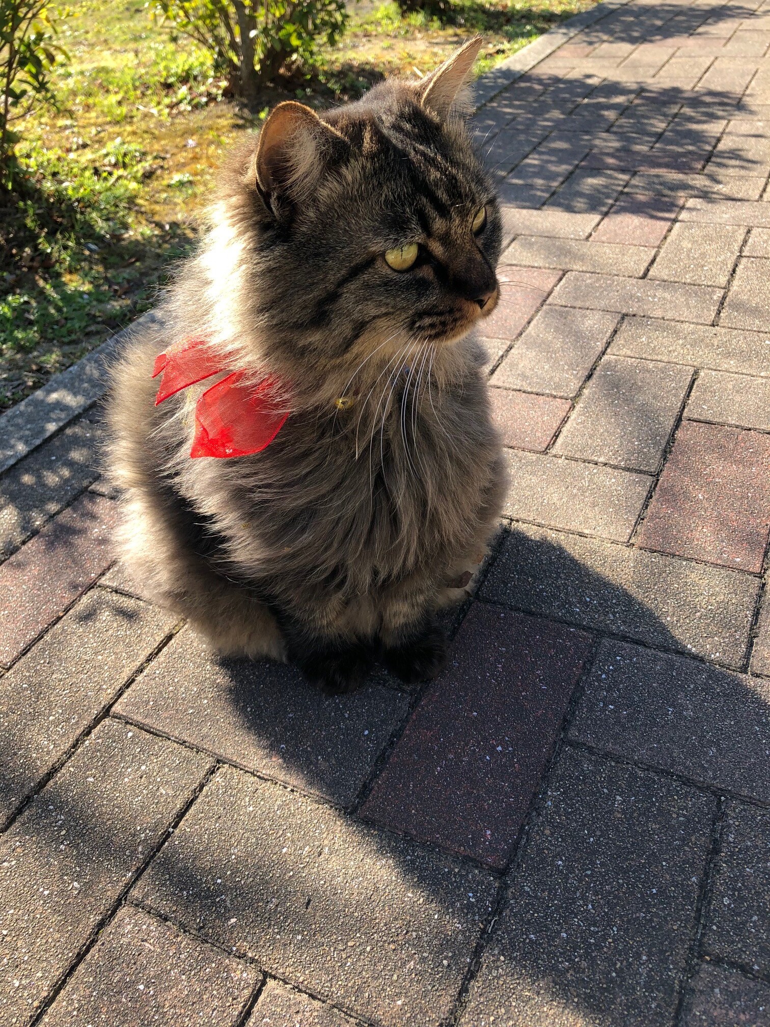 参加館紹介】長崎外国語大学マルチメディアライブラリー : Library 