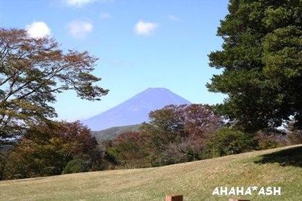 IMG_8449aa