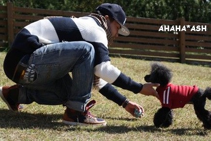 IMG_8432aa