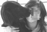 BlogPaint