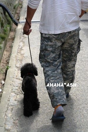 IMG_8351aa
