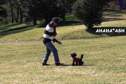 IMG_8452aa