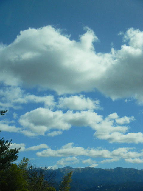 DSCN7452