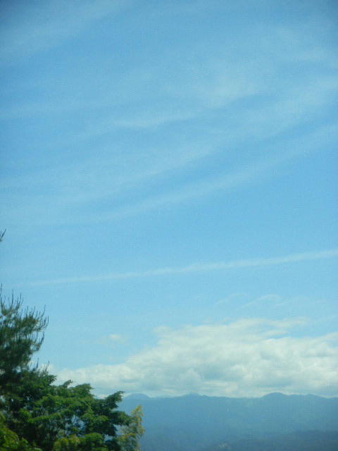 DSCN8870