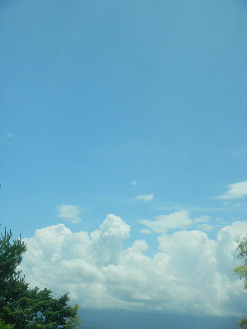 DSCN8975