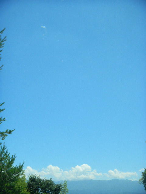 DSCN6432