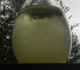 DSCN0001