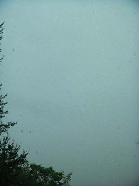 DSCN7701