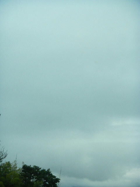 DSCN4850