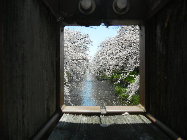 イメージ 2