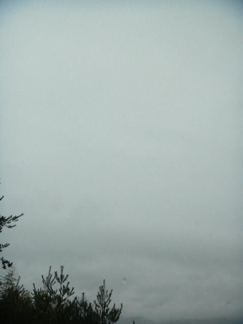 DSCN0673