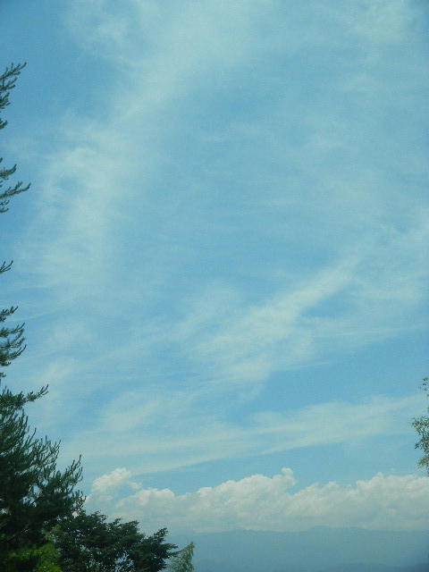 DSCN9195
